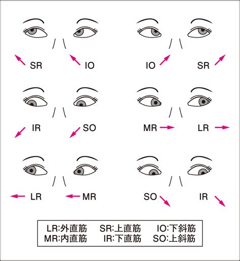 前視方位